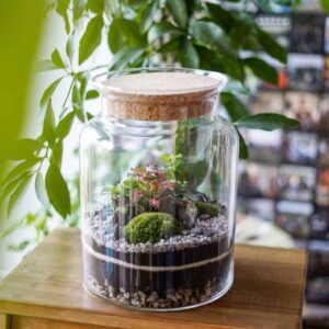 Stwórz wyjątkowy las lub ogród w słoiku: kompleksowy poradnik DIY krok po kroku
