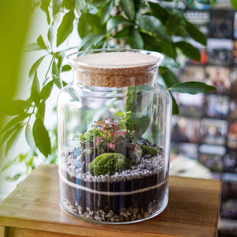Stwórz wyjątkowy las lub ogród w słoiku: kompleksowy poradnik DIY krok po kroku