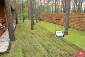 Wszystko, co musisz wiedzieć o wertykulacji trawnika: kiedy, jak i czym przeprowadzić tę ważną czynność