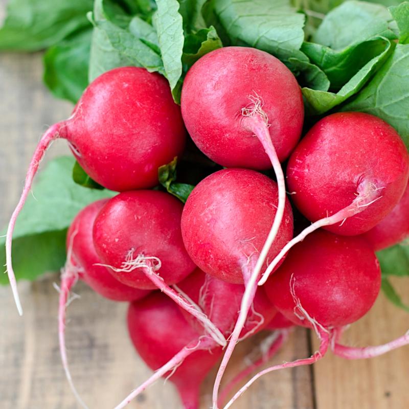 Przygotowanie gleby pod rzodkiewkę