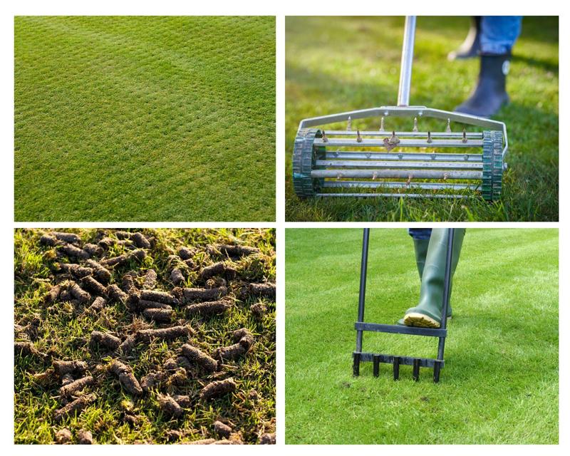 Kiedy i jak przeprowadzić aerację trawniaka – praktyczny przewodnik dla każdego ogrodnika