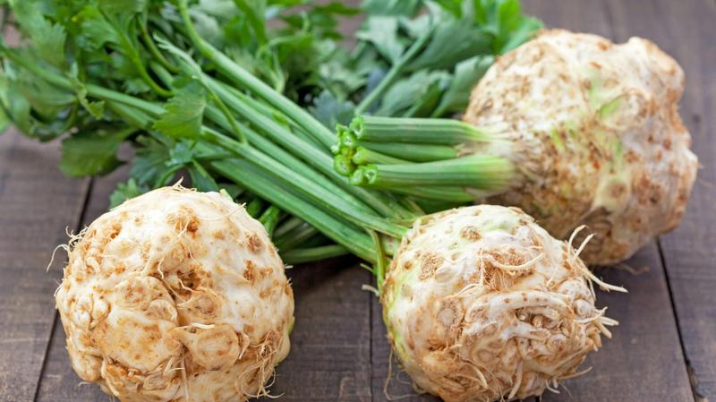 Sekrety dużego selera: jak sadzić, aby uzyskać obfite plony?