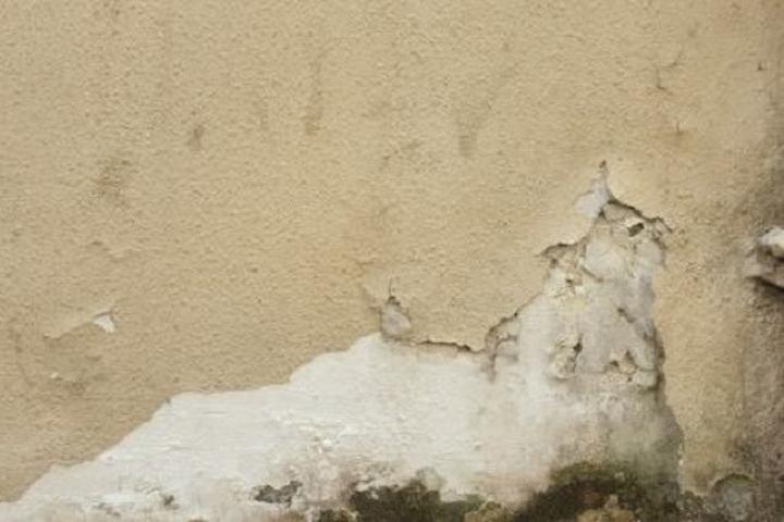 Domowe sposoby na grzyba