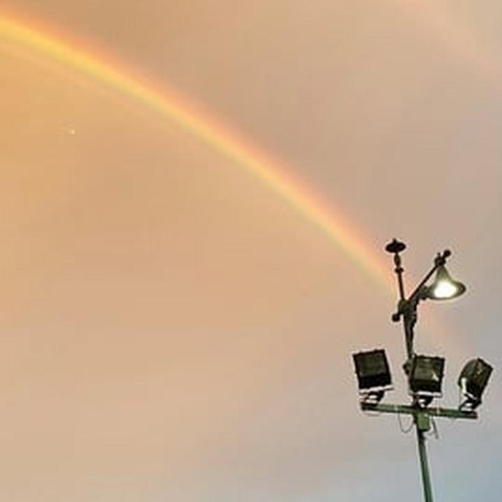 Mistrz parzenia herbaty