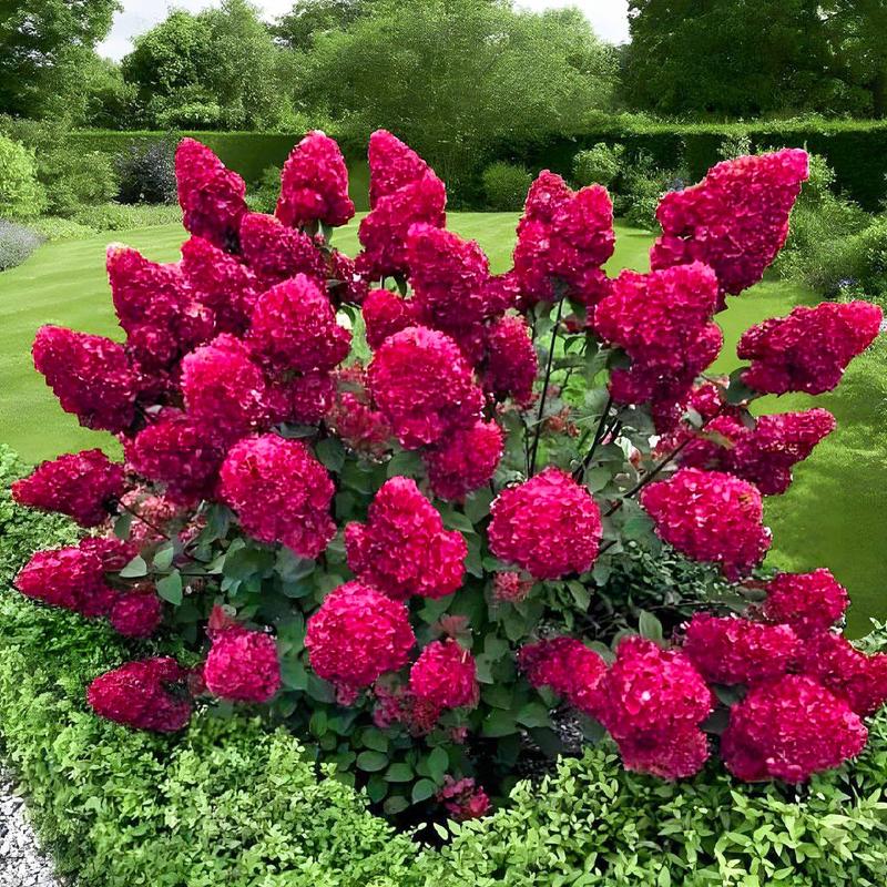 Optymalne warunki glebowe