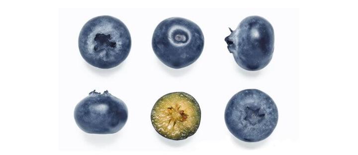 Pielęgnacja borówek