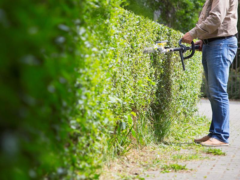 Przycinanie krzewów ozdobnych