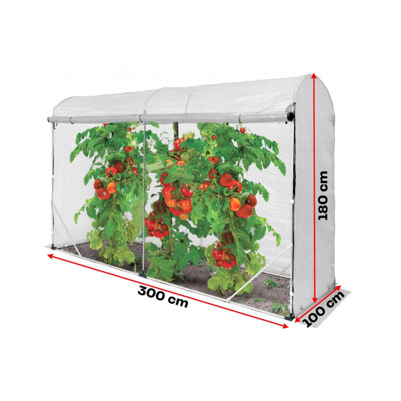 Techniki pielęgnacji pomidorów