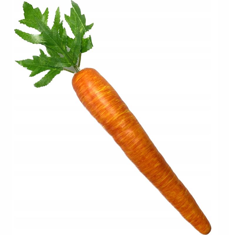 Kiedy i jak sadzić marchewkę? Przewodnik krok po kroku dla każdego ogrodnika