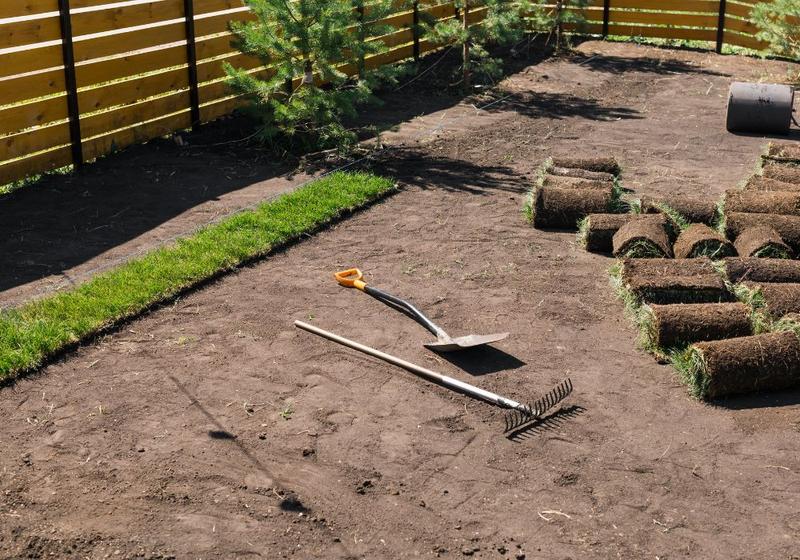 Błędy przy siewie trawnika