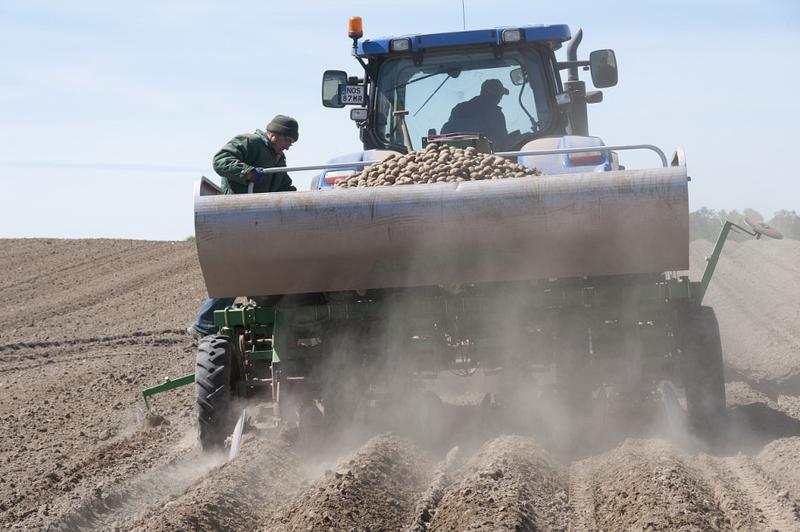 Pielęgnacja roślin