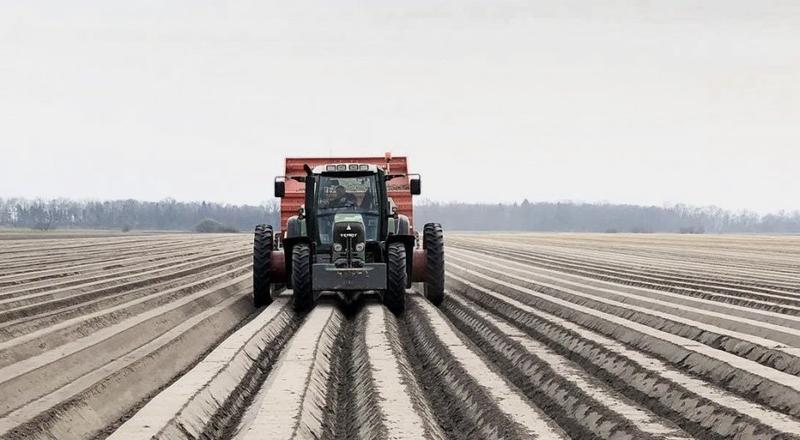 Porady dla ogrodników