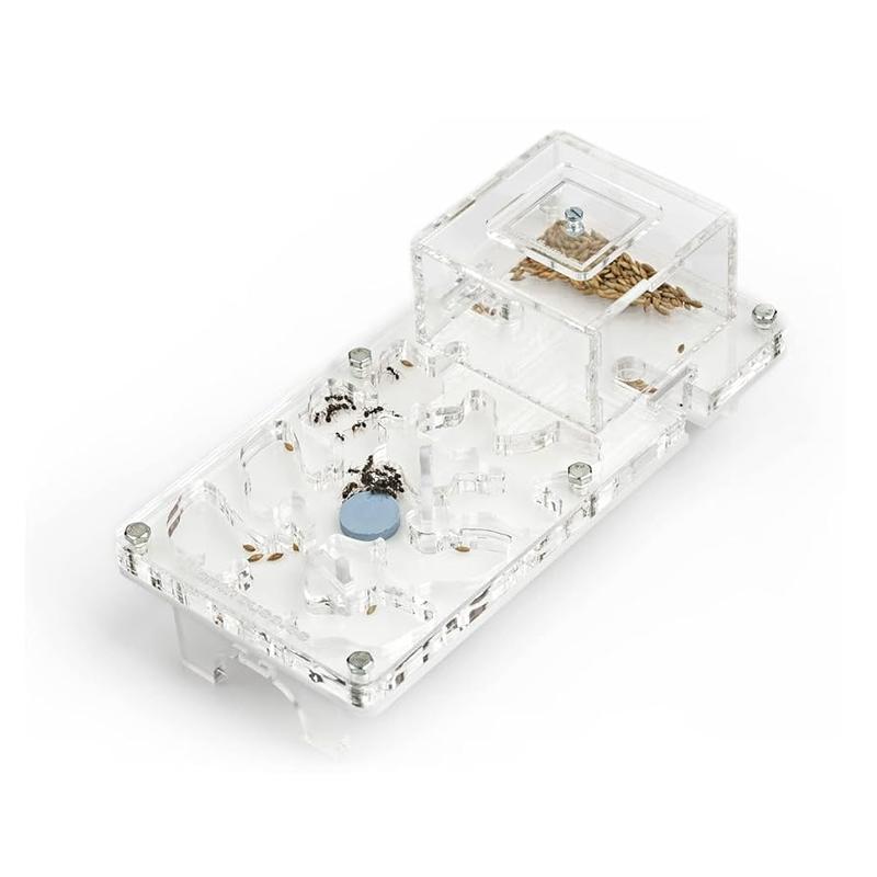 Roboty w opiece nad pupilami