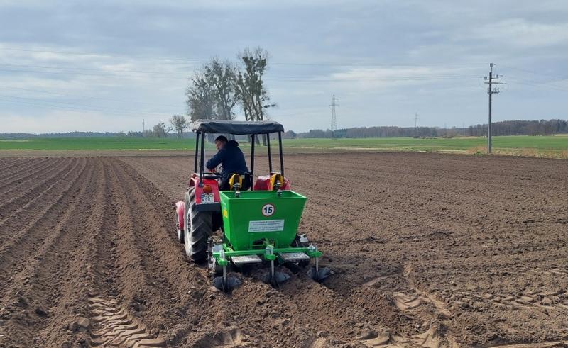 Techniki sadzenia ziemniaków