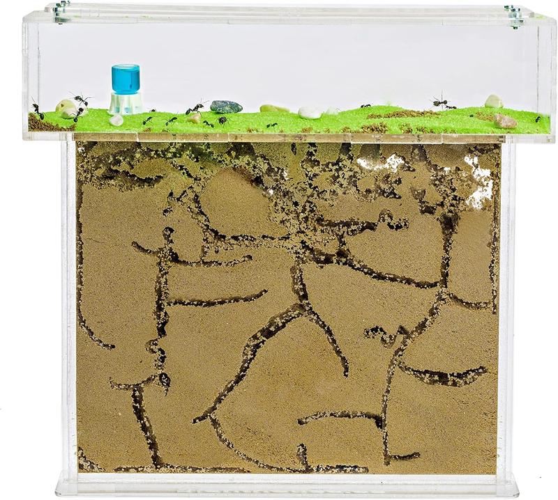 Technologia a relacje człowiek-zwierzę