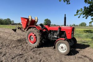 Kiedy i jak sadzić ziemniaki? Praktyczne wskazówki i porady dla ogrodników