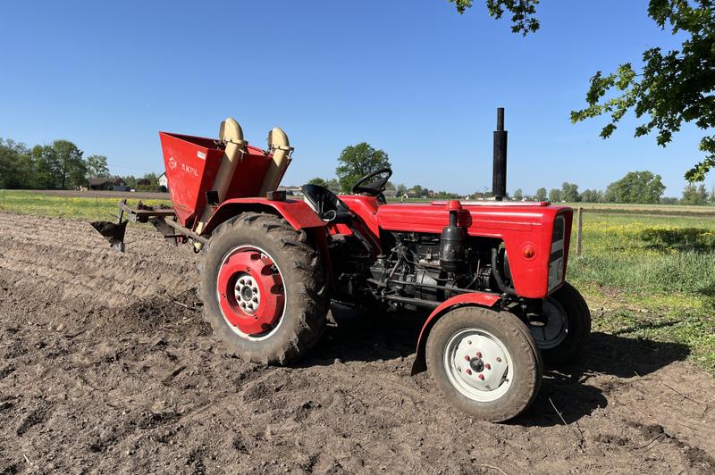 Kiedy i jak sadzić ziemniaki? Praktyczne wskazówki i porady dla ogrodników