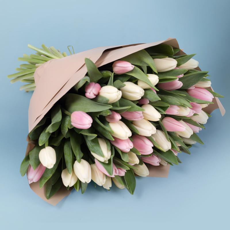 Tulipany w ogrodzie: Kiedy i jak je sadzić – kompleksowy poradnik dla każdego ogrodnika