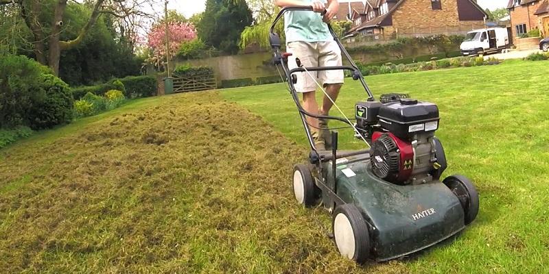 Nawadnianie trawnika