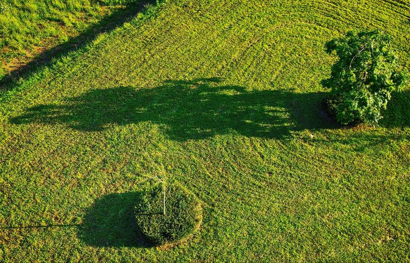 Pielęgnacja trawnika