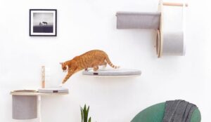 25 Kreatywnych Rozwiązań od Projektantów Mebli dla Miłośników Kotów