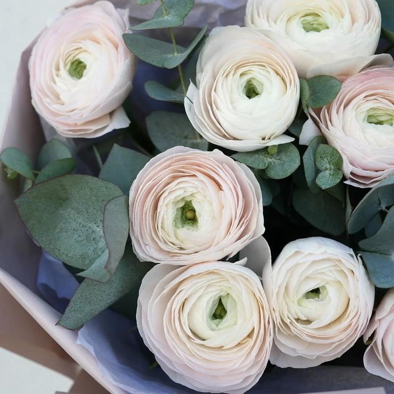 Rodzaje i odmiany jaskrów