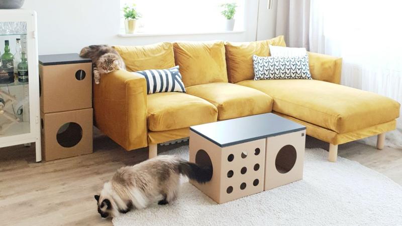 Rozwiązania dla właścicieli kotów