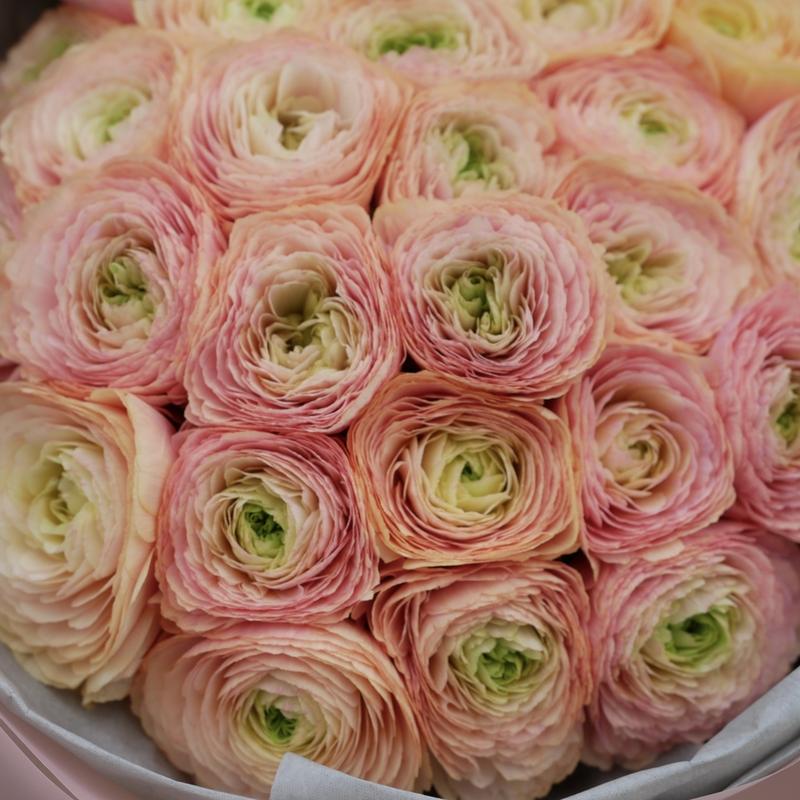 Sezonowe wskazówki dla jaskrów