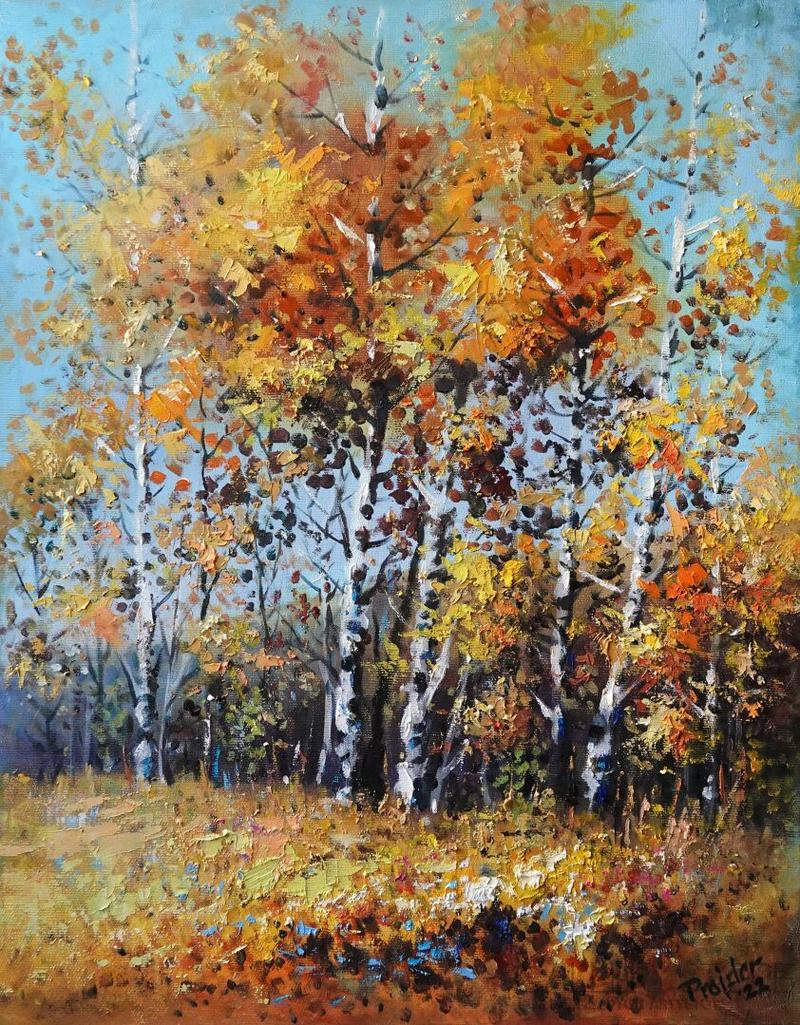 Warunki glebowe i świetlne brzóz