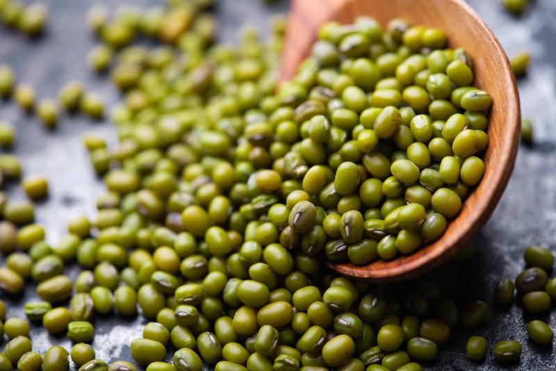 Kiedy i jak efektywnie sadzić fasolę? Odkryj różne sposoby na udane plony!