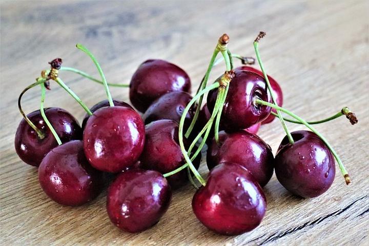 Techniki cięcia drzew owocowych