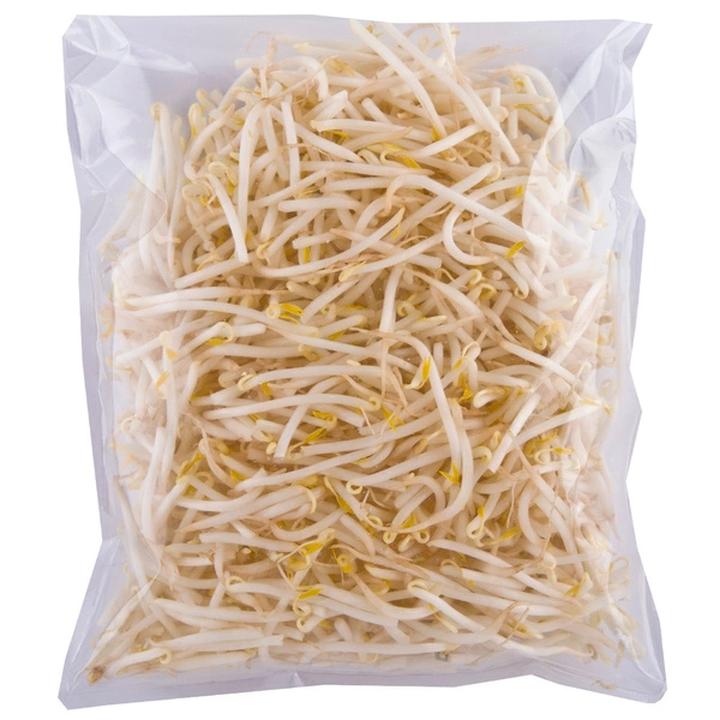 Kiedy i jak sadzić kiełki? Praktyczny poradnik krok po kroku