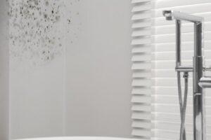 Skuteczne sposoby na pozbycie się wilgoci w łazience
