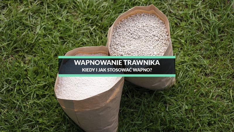 Jak rozpoznać potrzebę wapnowania trawnika