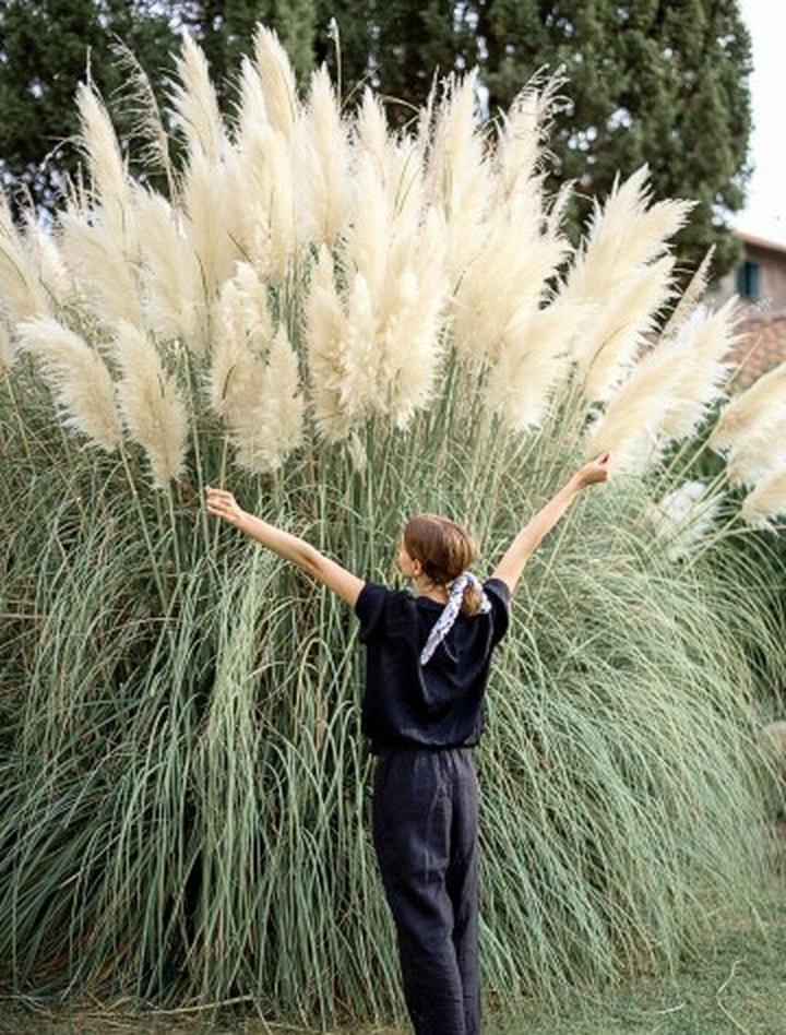 Przygotowanie gleby pod trawy ozdobne