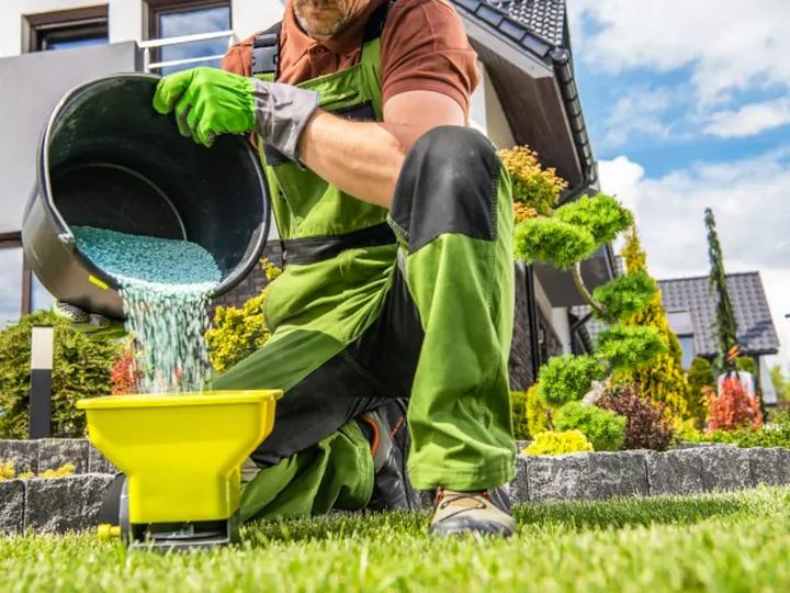 Jak skutecznie nawozić trawniki – sprawdź, kiedy i czym je nawozić!